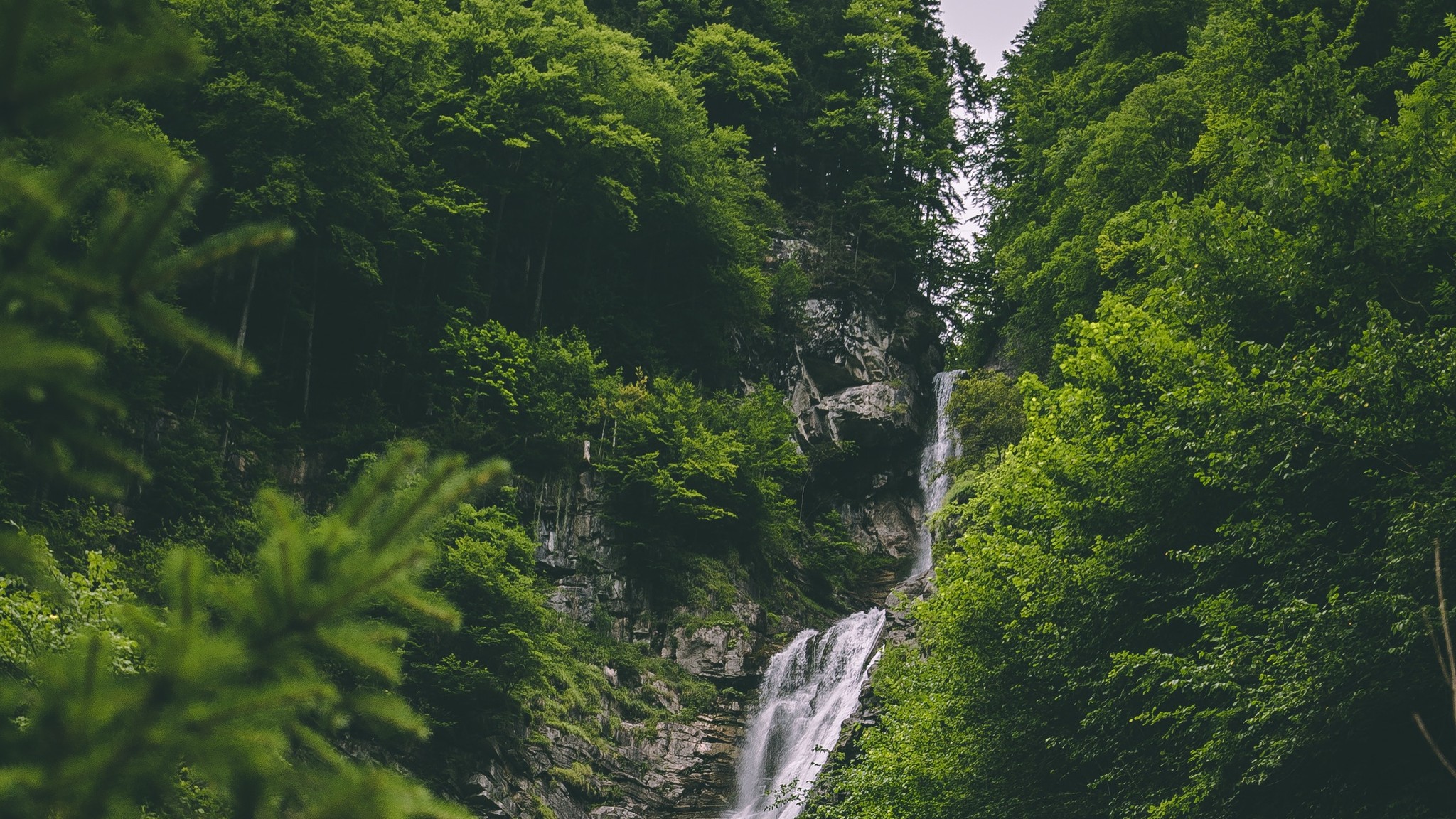 Paisagem 4